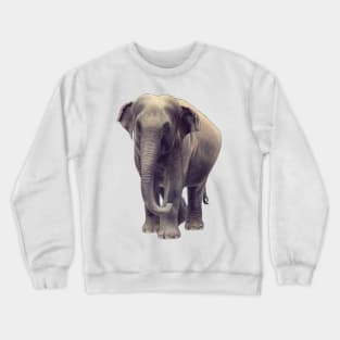 Asian Elephant Crewneck Sweatshirt